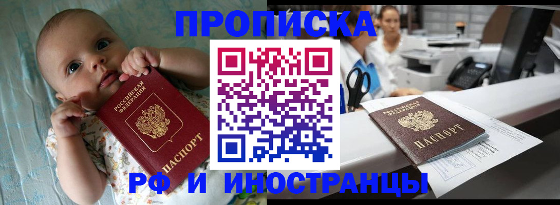 прописка поиск в Королёве